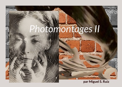 Picture of Photomontages II