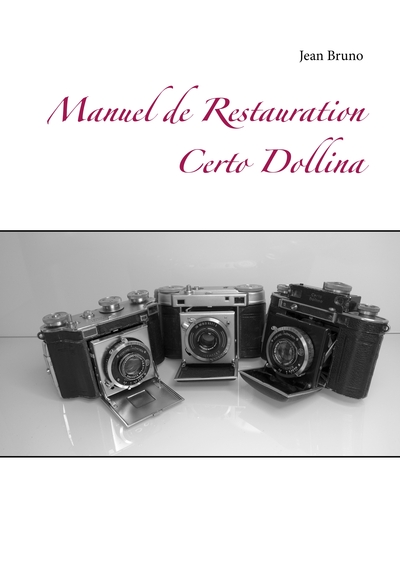 Picture of Manuel  de  Restauration  Certo Dollina