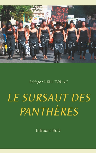 Image de Le sursaut des panthères