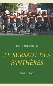 Image de Le sursaut des panthères