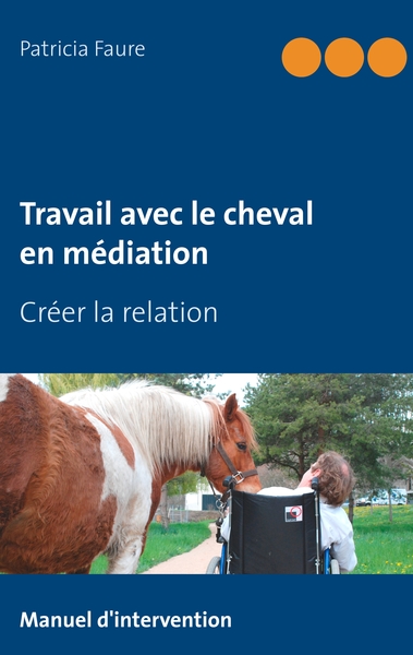 Image de Travail avec le cheval en médiation