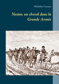 Image de Nestor, un cheval dans la Grande Armée