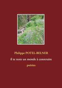 Picture of il te reste un monde à construire
