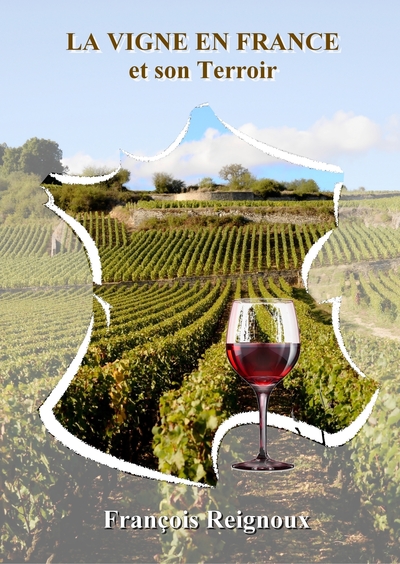 Picture of La Vigne en France et son Terroir