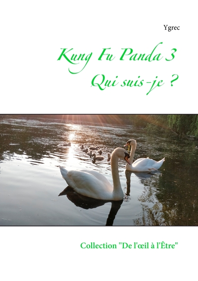 Image de Kung Fu Panda 3