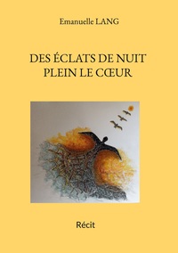 Picture of Des éclats de nuit plein le coeur