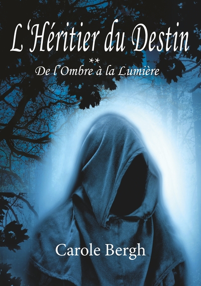 Image de L'Héritier du Destin Tome 2