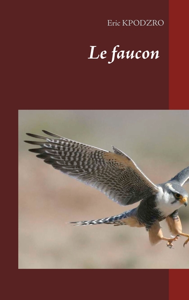 Picture of Le faucon