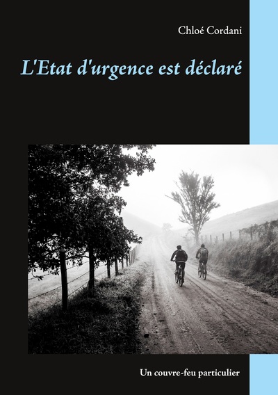 Image de L'Etat d'urgence est déclaré