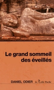Image de Le grand sommeil des éveillés