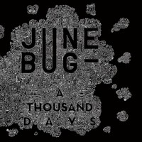 Picture of JUNE BUG - A THOUSAND DAYS