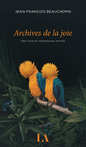 Picture of Archives de la joie