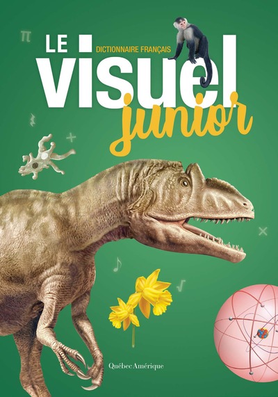 Picture of Le Visuel Junior dictionnaire Français