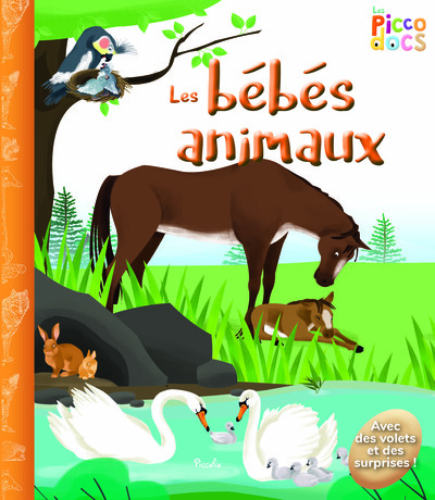 Picture of les bébés animaux