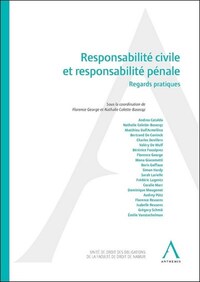 Picture of Responsabilité civile et responsabilité pénale