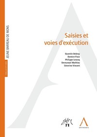 Picture of Saisies et voies d'exécution