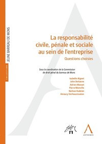 Picture of La responsabilité civile, pénale et sociale au sein de l'entreprise