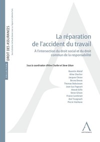 Picture of La réparation de l'accident du travail