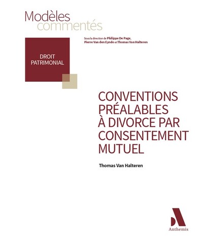 Picture of Conventions préalables à divorce par consentement mutuel