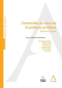 Picture of L'IMMEUBLE AU COEUR DE LA PRATIQUE JURIDIQUE