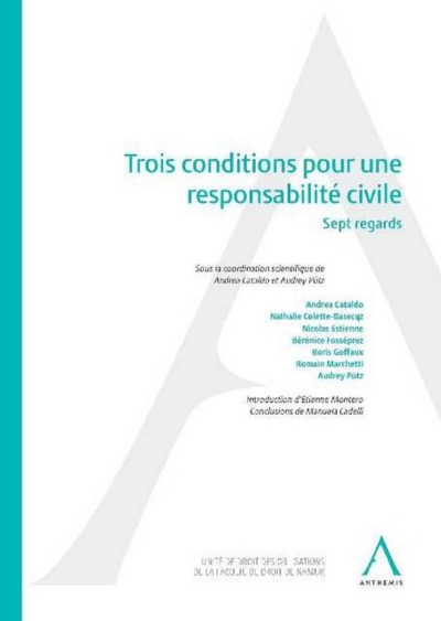 Picture of trois conditions pour une responsabilité civile