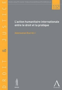 Picture of L'ACTION HUMANITAIRE INTERNATIONALE ENTRE LE DROIT ET LA PRATIQUE