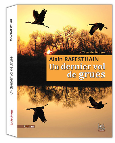 Image de UN DERNIER VOL DE GRUES