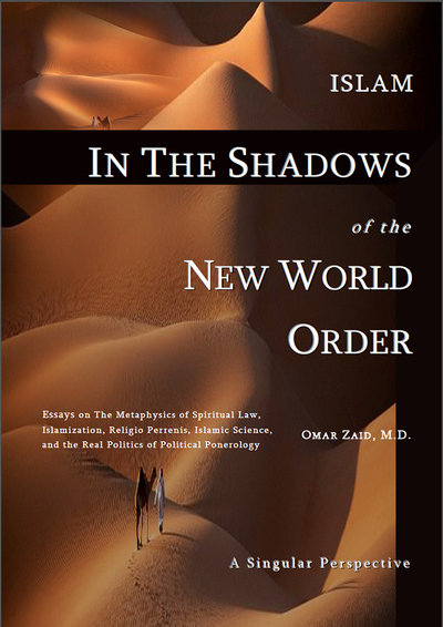 Image de Islam in the shadow of the New World Order