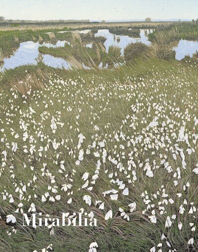 Picture of Mirabilia n°18 :  L´Espérance  - Ete 2023