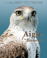 Picture of AIGLE DE BONELLI - MEDITERRANEEN MECONNU