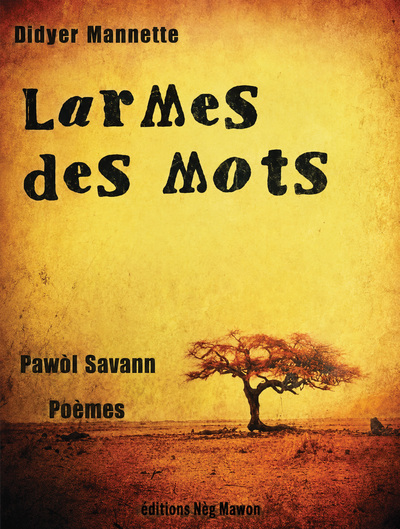 Image de LARMES DES MOTS