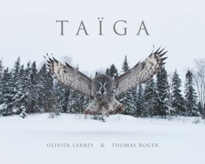 Image de Taïga