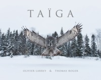 Image de Taïga