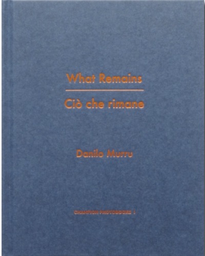 Picture of WHAT REMAINS