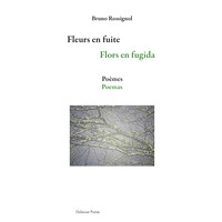 Picture of Fleurs enfuite