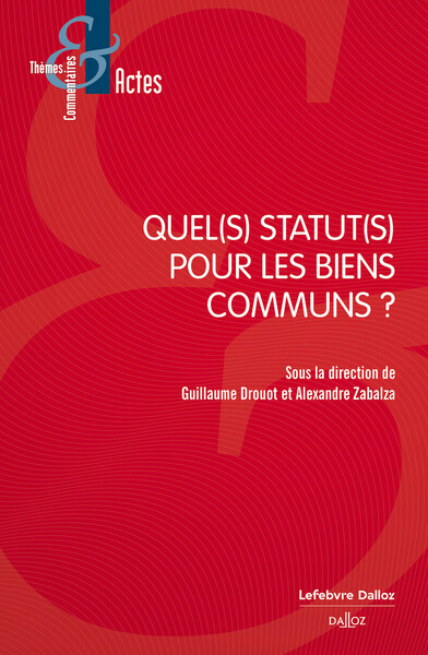 Picture of Quel(s) statut(s) pour les biens communs ?