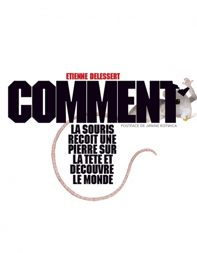 Image de COMMENT LA SOURIS RECOIT UNE PIERRE SUR LA TETE ET DECOUVRE