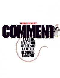 Image de COMMENT LA SOURIS RECOIT UNE PIERRE SUR LA TETE ET DECOUVRE