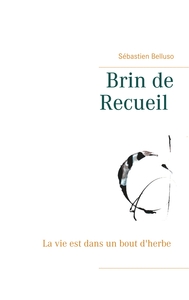 Picture of Brin de Recueil