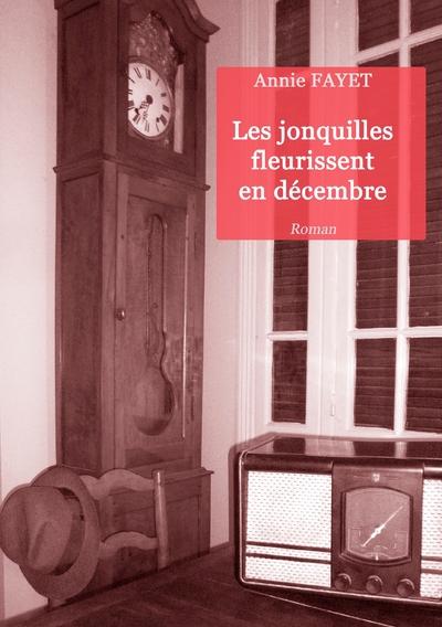 Image de Les jonquilles fleurissent en décembre