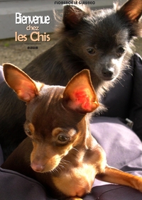 Image de Bienvenue chez les chis