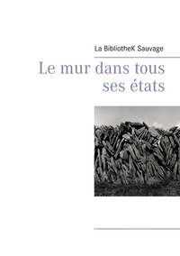 Image de Le mur dans tous ses états