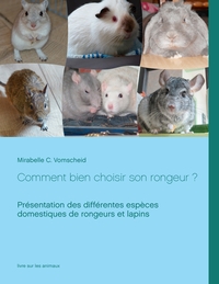 Image de Comment bien choisir son rongeur ?