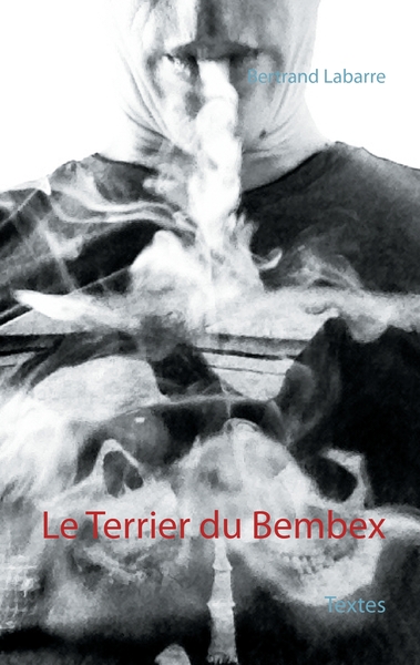 Picture of Le Terrier du Bembex