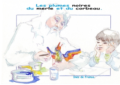 Image de Les plumes noires du merle et  du corbeau