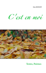Picture of C'est en moi