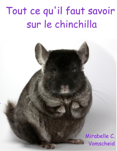 Picture of Tout ce qu'il faut savoir sur le chinchilla