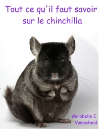 Picture of Tout ce qu'il faut savoir sur le chinchilla