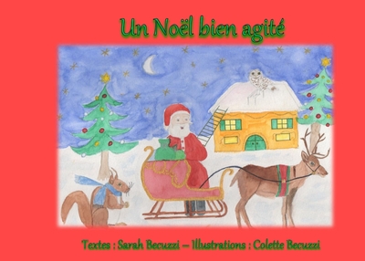 Image de Un Noël bien agité