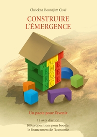 Image de Construire l'émergence